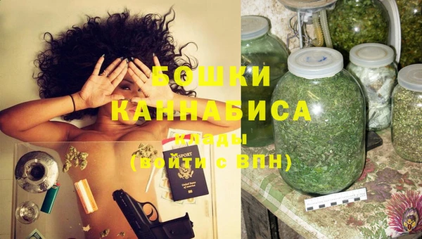 прущие крисы Вяземский